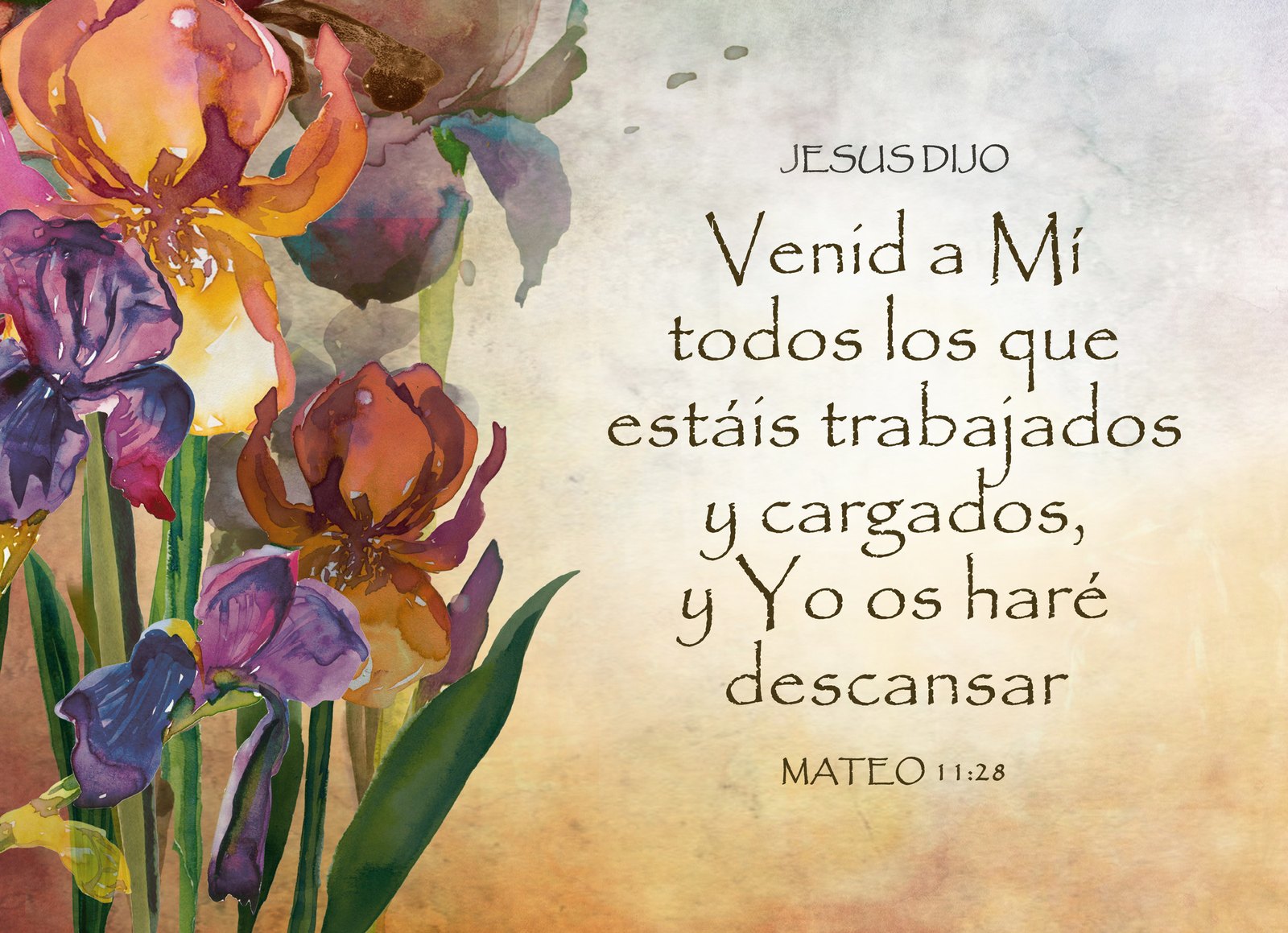 Jesús dijo: Venid a Mí todos los que estáis trabajados y cargados, y Yo os haré descansar. Mateo 11:28. Diseño floral.