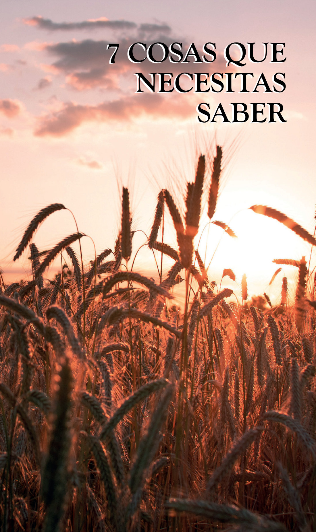 Portada: 7 cosas que necesitas saber